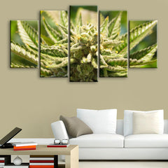 Cannabis Bud Plant Wall Art Decor Canvas Printing