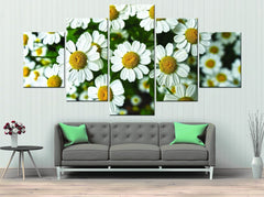 White Daisy Flower Wall Art Decor Canvas Printing