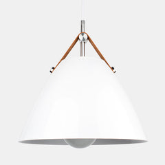 Pendant Lamp LED Light Modern Hanging Home Decor