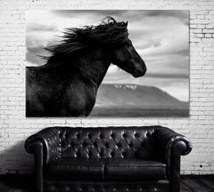 Black Wild Horse Wall Art Canvas Printing Decor-1Panel