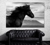 Image of Black Wild Horse Wall Art Canvas Printing Decor-1Panel