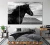 Image of Black Wild Horse Wall Art Decor Canvas Printing-3Panels