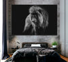 Image of Black and White Lion Portrait Wall Art Canvas Printing Decor-1Panel