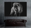 Image of Black and White Lion Portrait Wall Art Decor Canvas Printing-3Panels