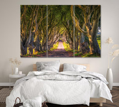 Dark Hedges Trees Tunnel Wall Art Decor Canvas Printing-3Panels