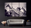 Image of Giraffes in Black And White Fine Art Wall Art Decor Canvas Printing-3Panels