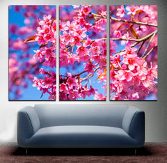 Pink Cherry Blossom Wall Art Decor Canvas Printing