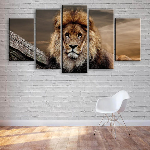 Resting Lion Wall Art Decor Canvas Printing