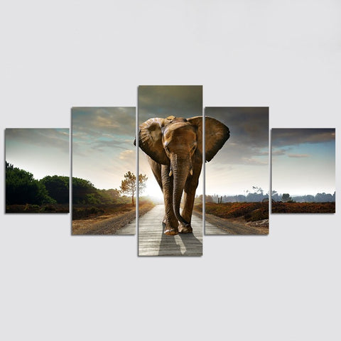 Africa Elephant Wall Art Canvas Print Decor - CozyArtDecor