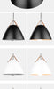 Image of Pendant Lamp LED Light Modern Hanging Home Decor - CozyArtDecor